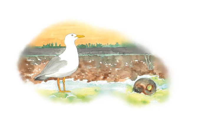 Picture Books